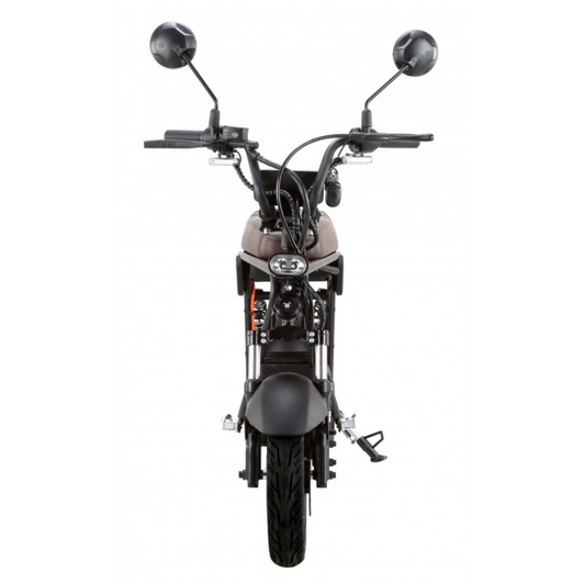 BULLBIKE Nizza Elektro Scooter 48V 20AH 600W 25KM/H Lithium